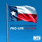 84th Legislative Session retrospective