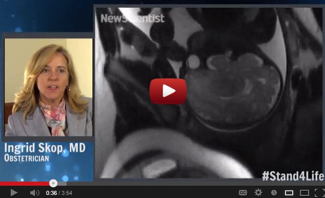 Medical experts confirm preborn children experience pain