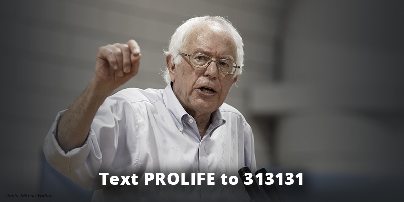 Ydmyghed Dripping Tag telefonen Bernie Sanders ends presidential bid, pro-abortion Joe Biden to become  Democratic nominee | Texas Right to Life