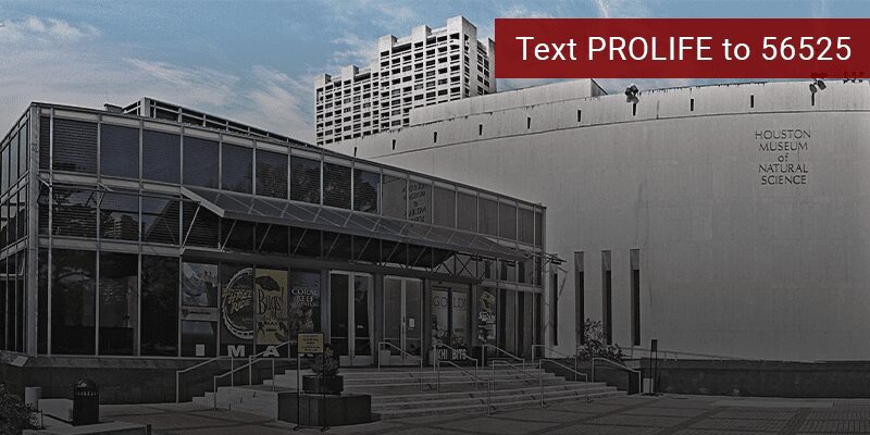 HMNS Body Worlds Exhibit Petition web image