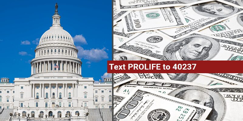 Biden Proposes to Eliminate Hyde Amendment from Federal Budget