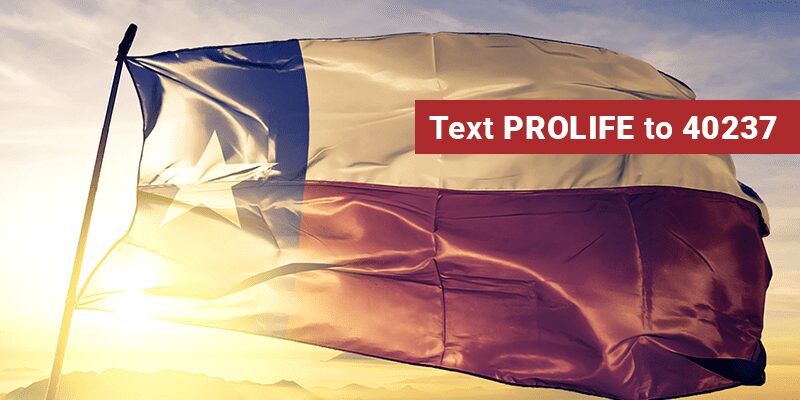 Elect Strong Pro-Life leaders!