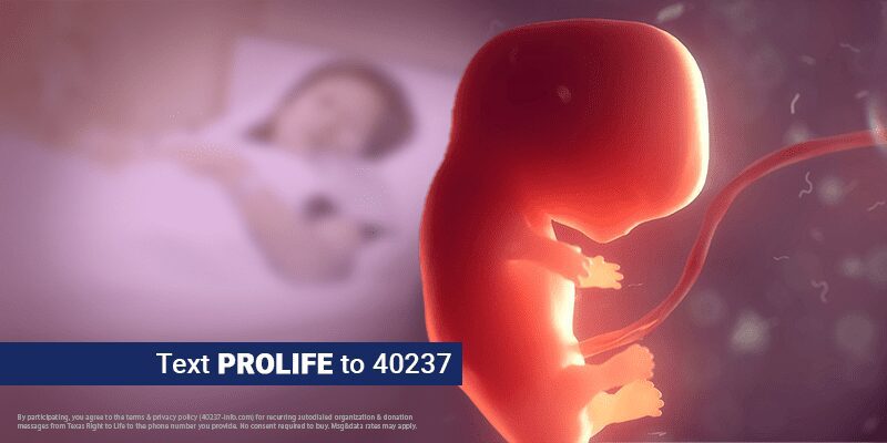 Human Embryos, Brain Death, and How We Define Life