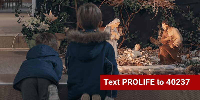 Defend Life this Christmas