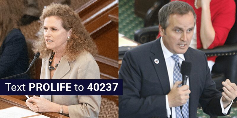 Republicans Versus Democrats: A Look at the Scores from the 87th Legislature