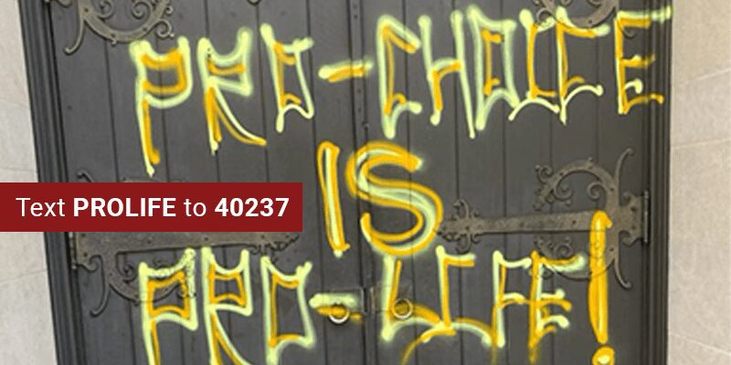 House Republicans Pass Resolution Condemning Pro-Abortion Attacks, Launch Investigation into Weaponization of DOJ