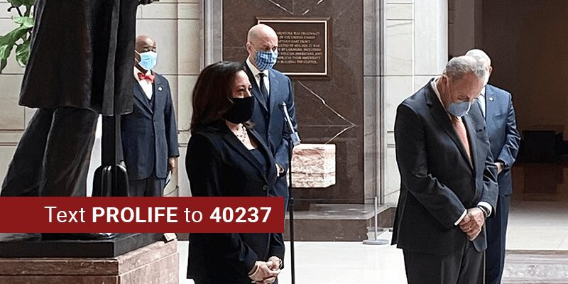 Bill Banning All Pro-Life Laws Fails in the Senate