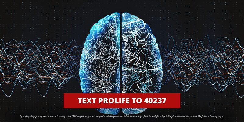 A Difference That Matters: The Distinctions between Brain Death, Biological Death, and Legal Death