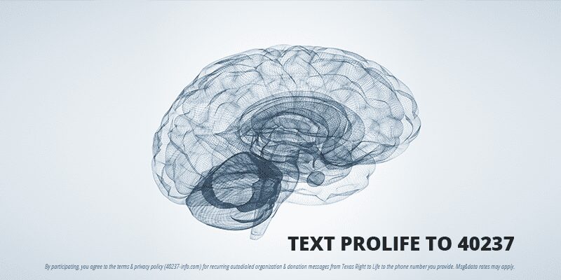 Application: Brain Death in Practice