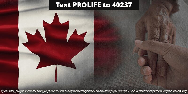 The Slippery Slope of Euthanasia and its Various Forms