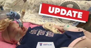 Baby Wren Update — Keep Praying