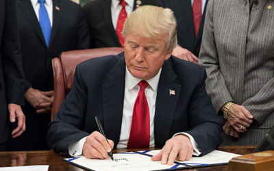 Pharmacies Are No Longer Forced to Carry Abortion Pills. Now What?