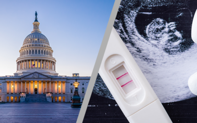 Texas Right to Life Joins Pro-Life Groups Calling for Trump Admin to Stop Mail-Order Abortion Pills