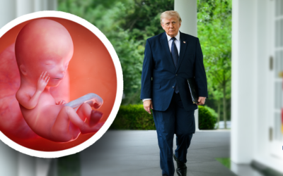 Frozen Embryos Are Children, Trump Admin Says